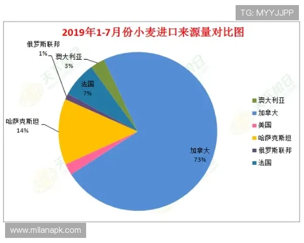 中欧体育网介绍欧洲体育赛事的历史背景、发展现状及未来趋势分析